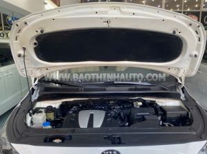 Xe Kia Sedona Platinum G 2018