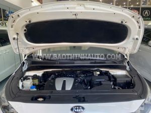 Xe Kia Sedona Platinum G 2018