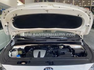 Xe Kia Sedona Platinum G 2018